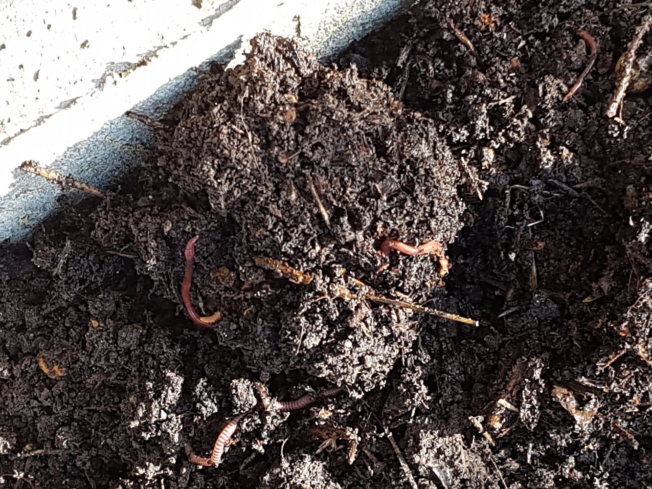 5 unheard facts about soil that defines how it is helping the environment!